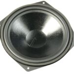 WS25E 1061 WOOFER,  25-CM,  8-OHM
