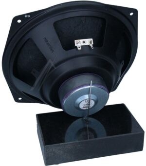 WS25E 1061 WOOFER,  25-CM,  8-OHM