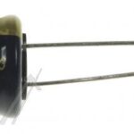 1000UF-25V EEUFC1E102 ELCO RADIAAL 105° LOW IMP. 12,5X20MM. RM=5,0MM. -ROHS-