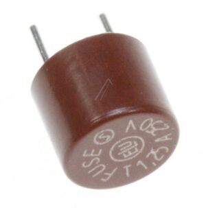 1,25A-T-TR5 ZEKERING TRAAG